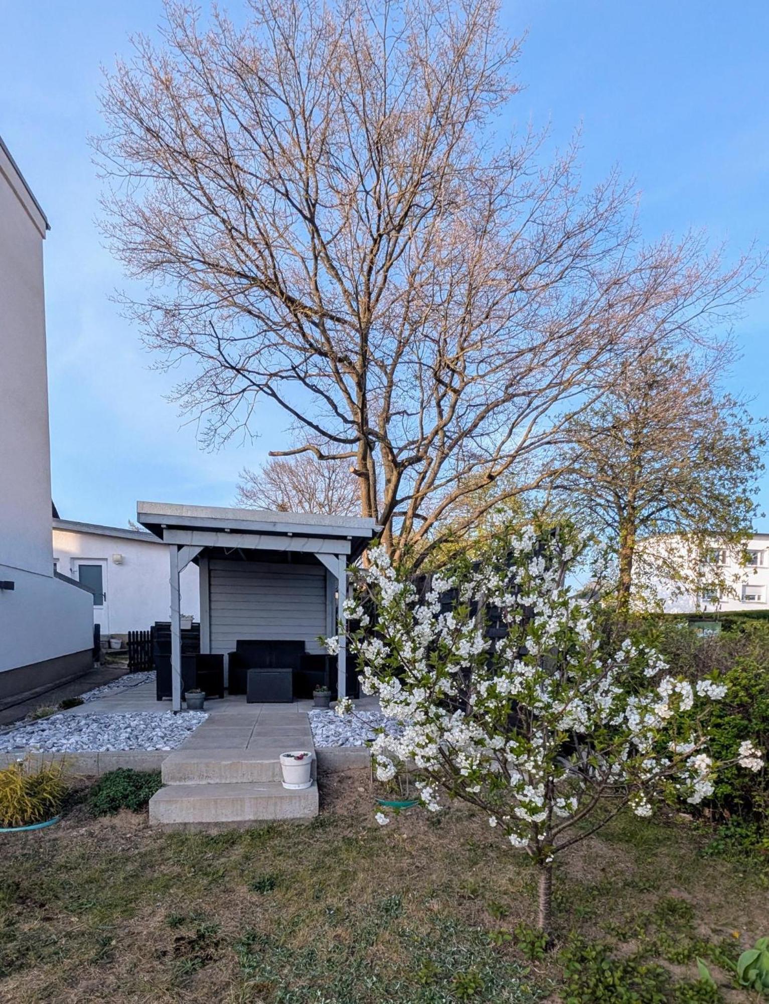 Ferienunterkünfte Zwischen Meer&See Ostseebad Heringsdorf Exterior foto